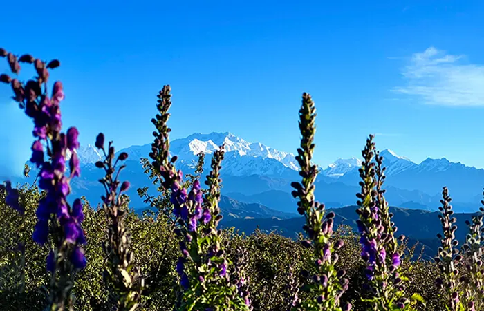 Sandakphu Trek